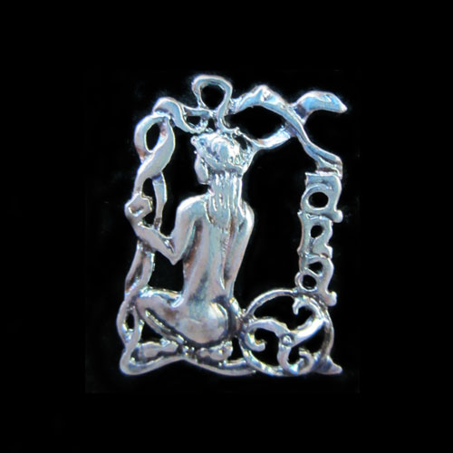 Pin plata Xana 